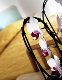 hotel flora bellaria home vacanze a bellaria orchidea camere